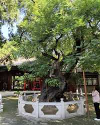 河北定州文廟 | 先師至聖獨風流。