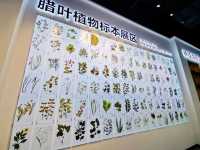 中國關藥博物館。