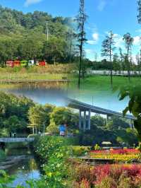 深圳國慶遛娃寶藏地 | 甘坑都市田園&綻放。