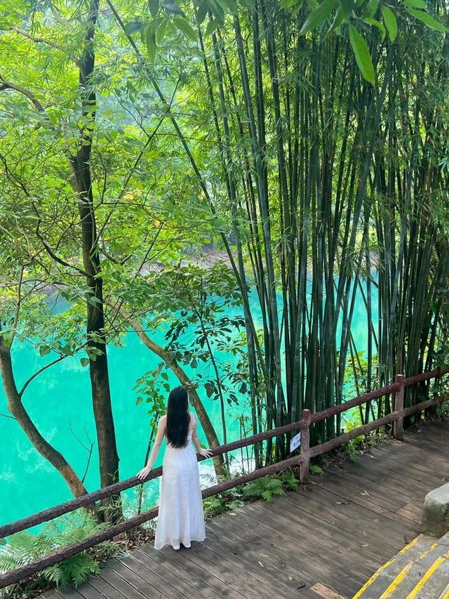 鼎湖山蝴蝶谷人間綠寶石屬於廣東的藍月谷。