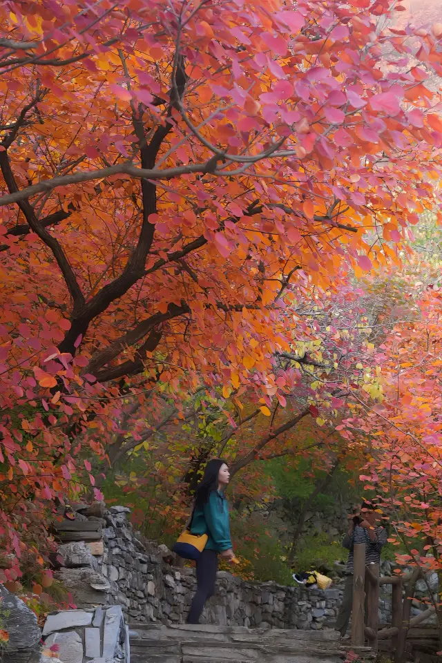 포펑링.