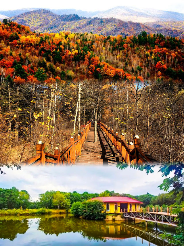 伊春旅遊新寵，綠色生態等你來體驗！
