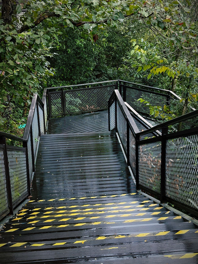 馬家塢觀景台：屹立杭城，270 度全景畫卷，解鎖杭州的全景。