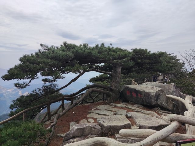 湖北黃岡薄刀峰｜值得N刷的治癒徒步路線。