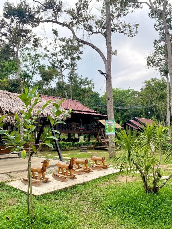 Discover a Hidden Thai Restaurant Oasis Near UUM