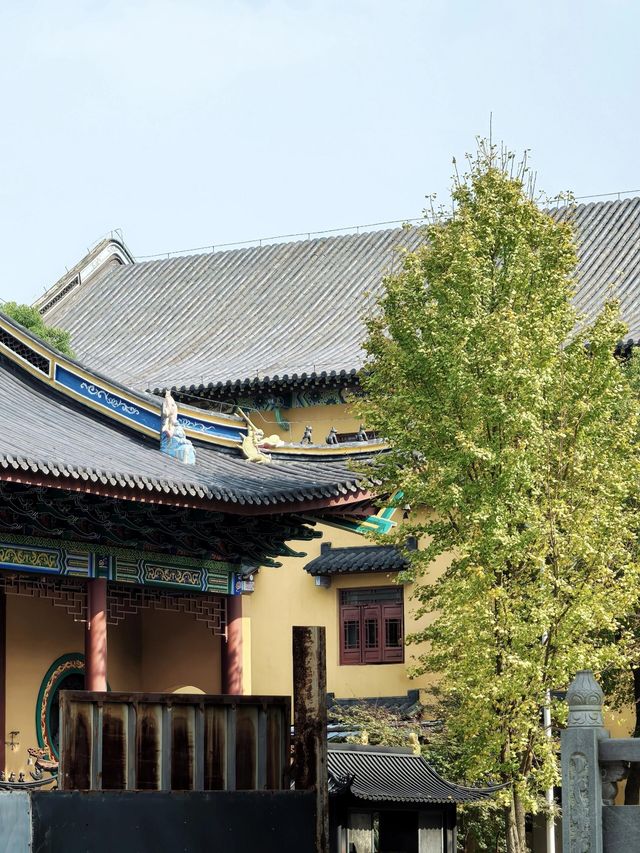 海寧最美丨悟空師徒4人守衛的高顏值寺廟。