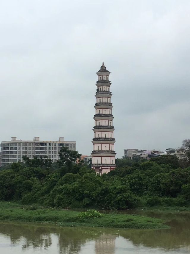 高州市區風景。