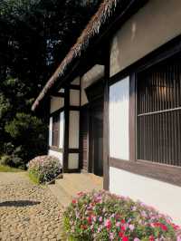 白居易草堂。