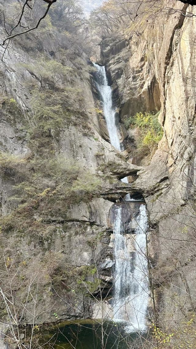 週末爬山太平國家森林公園。