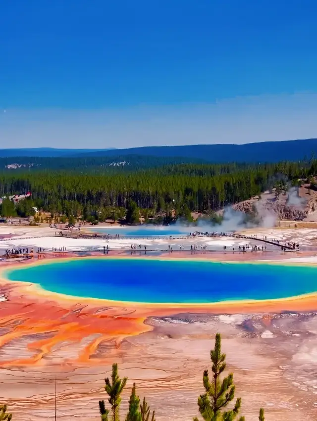 15-day tour of the best attractions on the East and West Coasts of the United States.