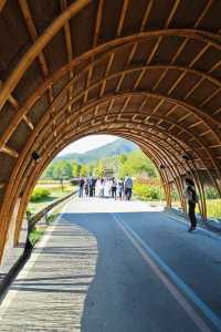 一日遊|杭州自駕1小時安吉免費省錢周末遊攻略。