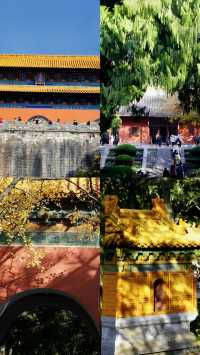 南京詳細鐘山景區一日遊攻略。