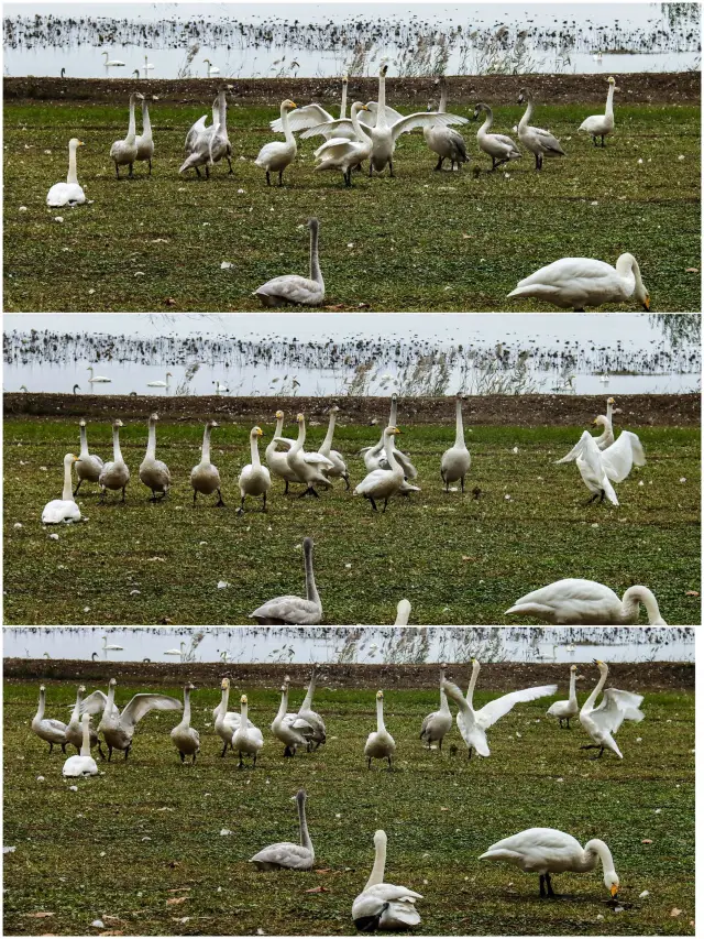 Qingdao-Weihai-Yantai 3-Day Tour: Explore the Shandong Coastline Without a Hitch!