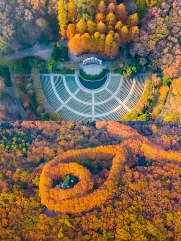 探索星辰大海！紫金山天文台超越時空之旅！