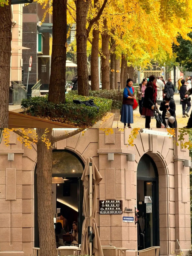 上海|黃金城道已經美得不像樣了~ 上海|黃金城道已經美得不像樣了~