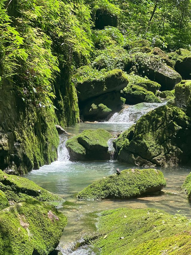 重慶2日遊 玩轉熱門景點不踩雷