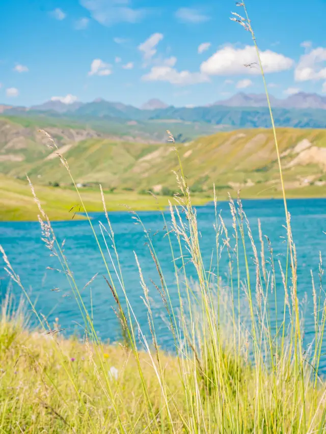 烏魯木齊-天山天池5日遊 超詳細攻略不踩雷