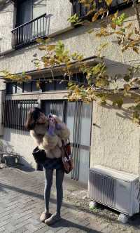 參觀三峡大壩和屈原祠