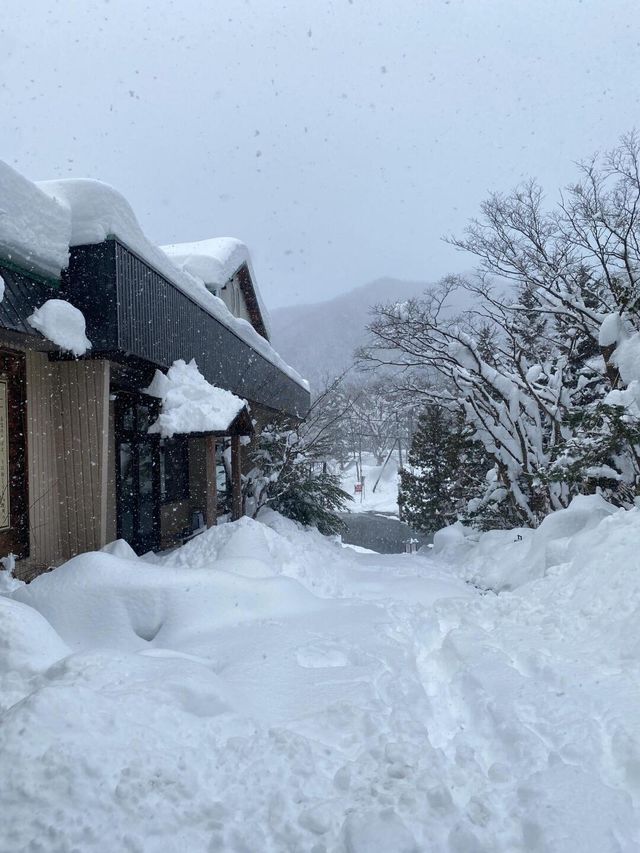 北海道旅行必讀指南：從防滑到溫泉酒店的驚喜！