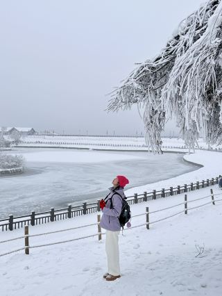 成都附近2小時車程！！！我們有自己的北海道！！！