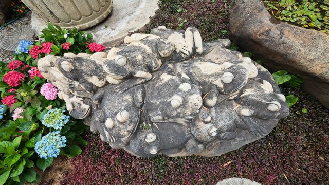 陳村花卉世界銘園的小玩意