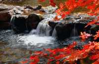 遼陽核伙溝森林公園丨東北小黃山