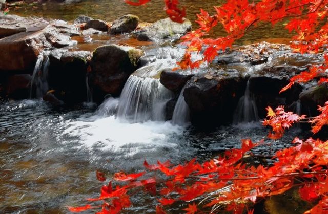 遼陽核伙溝森林公園丨東北小黃山