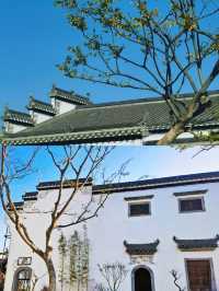 雲夢仙境|祥雲灣，邂逅一場詩意之旅