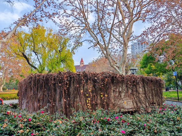 靜安區歷史最悠久的公園 - 閘北公園 - 我還是第一次去呢！