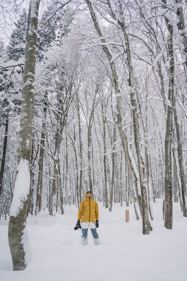 徒步林海雪原我又發現了一個日本秘境