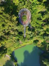 深圳｜以橋為由的大頂嶺公園，你來了嗎