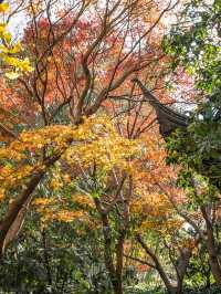 上海桂林公園