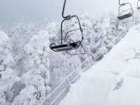 Exploring Nagano's Shiga Kogen Ski Resort: Yokoteyama & Shibutoge