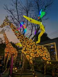 魔都的年味已到位，就在今潮8弄
