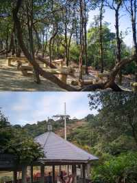 打鼓嶂鵝公髻園山路線