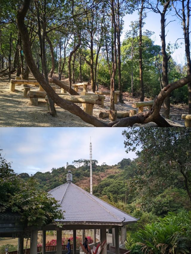 打鼓嶂鵝公髻園山路線