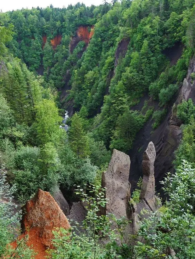 冬日撫松遊 雪景美如畫要去體驗
