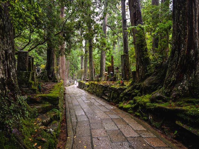 高野山一日遊 | 解鎖小眾寶藏地。