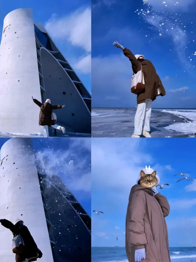 Lonely whale: emotional resonance with the deep-sea Yantai❤️