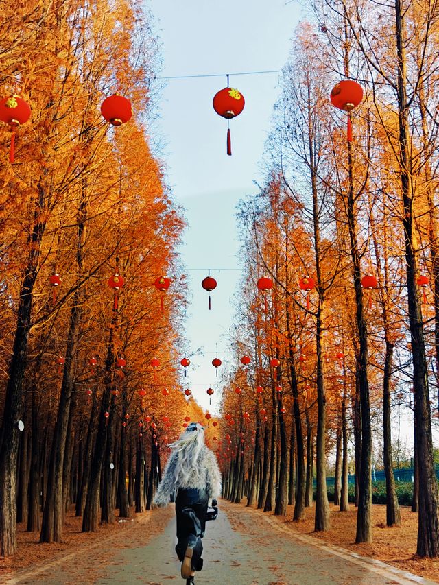 隨便咔一張都係人生相片嘅程度!