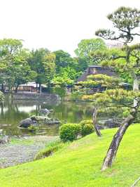 過年去日本玩6天 超全攻略來襲