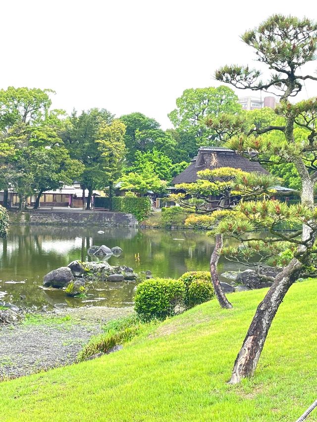 過年去日本玩6天 超全攻略來襲