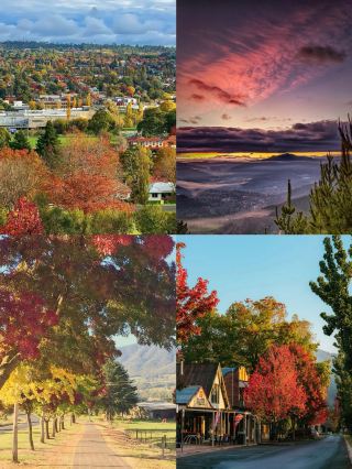 Armidale | Experience a Different Side of Australia