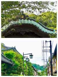 探索日本三島市：自然與文化嘅完美融合