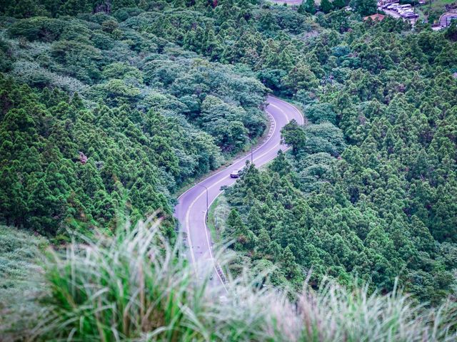 台北陽明山國家公園｜自然野趣與地質奇觀之旅