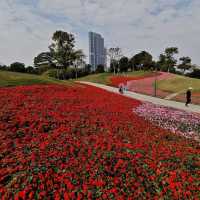 絕美拍照聖地，隨手一拍都是大片！🌸