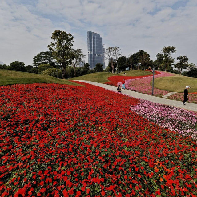 絕美拍照聖地，隨手一拍都是大片！🌸