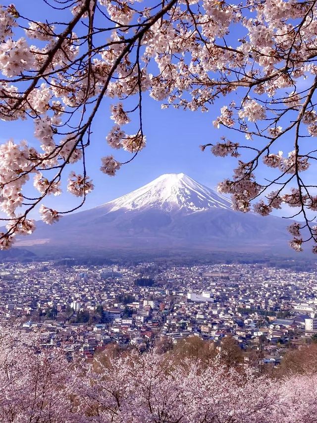 富士山已回｜想說點真心話實在勸退。