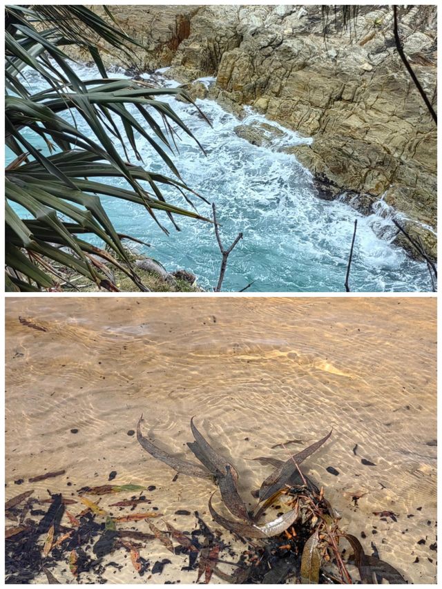 澳洲北斯特拉布魯克島嘅神仙之旅 