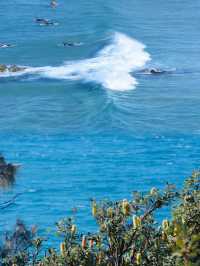 北斯特拉布魯克島︱闖入現實版夢幻島超全攻略
